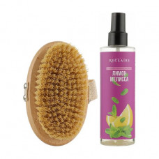 Set for Reclaire body the Cold massage complex (oil the Lemon melissa, 200 ml + a mini-brush)