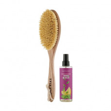 Set for Reclaire body the Cold massage complex (oil the Lemon melissa, 200 ml + a brush)