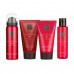 Set for a body of Rituals The Ritual Of Ayurveda Rebalancing Treat Gift (shampoo, 70 ml + body cream, 70 ml + shower gel, 50 ml + shower oil, 75 ml)