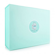 Set for a body of Surprise Box Kitty, 9 objects + a confidential gift + a gift box