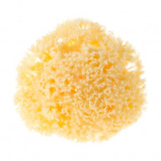 Natural sea sponge of Najel Natural Sponge of 9-10 cm
