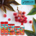 The indelible Novex Doctor Castor Leave In Conditioner hair conditioner with castor oil, 300 ml