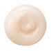 Night cream - the Shiseido White Lucent Overnight Cream & Mask face pack, 75 ml