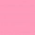 Socks female GIULIA WSM SPORT-02 calzino rose of river 36-38