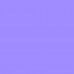 Socks female Conte Elegant CLASSIC (lurex, without elastic band) viscose 17S-16SP lilac ruble 23