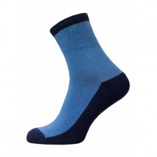 Socks Men's Brest ACTIVE 15C2330 031 DZhINS-T. blue ruble 25