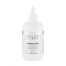 The painting Inebrya Kolor Vibes Modulator hair gel, 300 ml