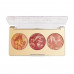Palette for a make-up of the person Revolution Pro Blush & Glow Face Palette Cranberry Glow, 2.8 g