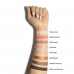 Palette of the eye shadow Paese Dreamily Eyeshadow Palette, 12 g