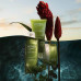 Foam for a shower of Biotherm Bath Therapy Invigorating Blend Body Cleansing Foam with extract of ginger and a peppermint, 200 ml