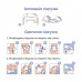Diapers for adult Seni Classic, the size are 2 Medium, 30 pieces