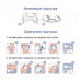 Diapers for adult Seni Standard Air, the size are 3 Large, 10 pieces
