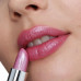 Lipstick for lips of Lamel Professional Luxury Moisturizing Lipstick 406, 3.8 g