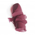 Lipstick for lips of Paese Argan Oil Lipstick with argan oil 40, 4.3 g