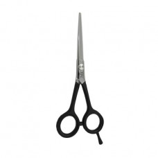 Professional hairdresser's SPL 5.5 (90043-55) scissors