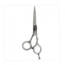 Professional hairdresser's SPL 5.5 (99860-55) scissors