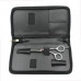 Professional hairdresser's SPL 5.5 (99860-55) scissors
