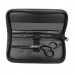 Professional hairdresser's SPL (90031-63) scissors