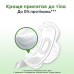 Laying for critical days of Kotex Natural Normal, 8 pieces