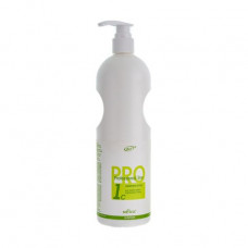 Shampoo leaving for hair of Bielita Professional Line of Dl of protection of color of a dyed hair, 1 l