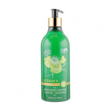 Shampoo strengthening for hair of Bio World Botanica Shampoo Ginger, red ginseng, 490 ml
