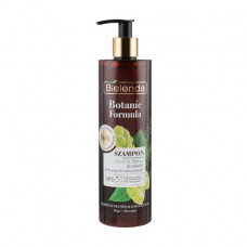 Bielenda Botanic Formula shampoo the Field horsetail and hop, for a dyed hair, 400 ml