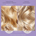 Living Proof Color Care Shampoo shampoo for protection of color of a dyed hair, 236 ml