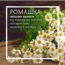 Schauma Every Day Shampoo With Chamomile-Extract shampoo for all types of hair, with extract of a camomile, 400 ml