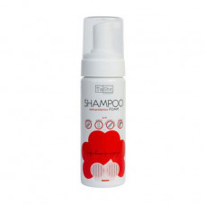 Shampoo for Afro-curls, dreads, Afro-braids and breyd of TaShe Professional, 150 ml