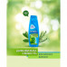 Shampoo for an oily hair of Shamtu Surprising freshness with extracts of herbs, 200 ml