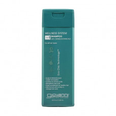 Shampoo for hair of Giovanni Wellness System Shampoo for all types of hair, with the Chinese herbs, 250 ml