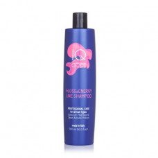 Shampoo for hair of IQ code Gloss & Energy Line Shampoo Gloss and force, 500 ml
