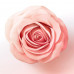 Shampoo for hair of Pantene Pro-V Miracles Lift'n' Volume Biotin + Rose Water of Objem from roots, 300 ml