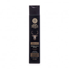 Shampoo of men's NATURA SIBERICA Moral's Power, 250 ml