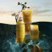 Body scrub of Biotherm Bath Therapy Delighting Blend Body Smoothing Scrub with extract of grapefruit and a sage, 200 ml