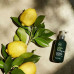 Sprey for the volume of hair of Paul Mitchell Tea Tree Lemon Sage Thickening Spray, 200 ml