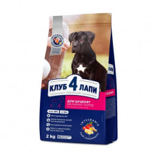 Dry feed for puppies of large breeds of Club 4 Paws Premium with taste of chicken, 2 kg