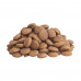 Dry dog food of all breeds Club 4 Paws Premium Lamb and rice, 2 kg
