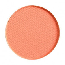 The eye shadow M.A.C Eye Shadow, the shade of Coral, Matte, 1.5 g (refit)
