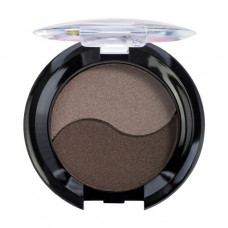 2-colored eye shadow Quiz Cosmetics Color Focus Eyeshadow, tone 209, 4 g
