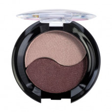 2-colored eye shadow Quiz Cosmetics Color Focus Eyeshadow, tone 211, 4 g