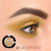 Eye shadow Relouis Pro Picasso Limited Edition 01 Mustard, 3 g