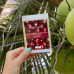 Fabric mask for skin around eyes of Orientana Silk Eye Mask Pad Japanese Cherry, 1 couple