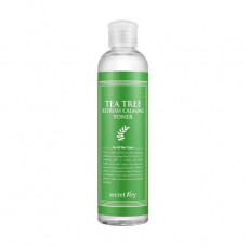 Toner for problem skin of the person Secret Key Tea Tree Refresh Calming Toner with extract of a tea tree, 248 ml