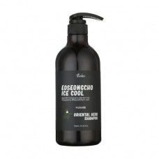 Toniziruyushchy shampoo against a hair loss of Thinkco Eoseongcho Ice Cool Shampoo, 750 ml