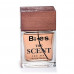 BI-ES THE SCENT toilet water of men's 100 ml