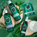 Uspokaivayushchy the conditioner for head skin of Hask Tea Tree Oil & Rosemary Invigorating Conditioner with tea tree oil and rosemary, 355 ml