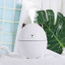 Humidifier and night lamp 2 in 1 Humidifier Cat, a cat