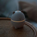 Humidifier and night lamp 2 in 1 Humidifier Cat, a cat