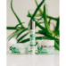 Uvlazhnyayushche-matiruyushchy the face gel Eveline Cosmetics Organic Aloe + Collagen for the normal and combined skin, 50 ml